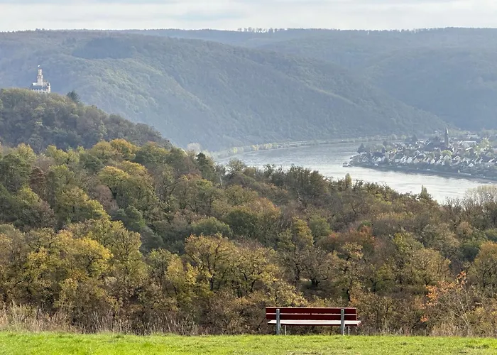 Am Lahnpark Apartment Lahnstein